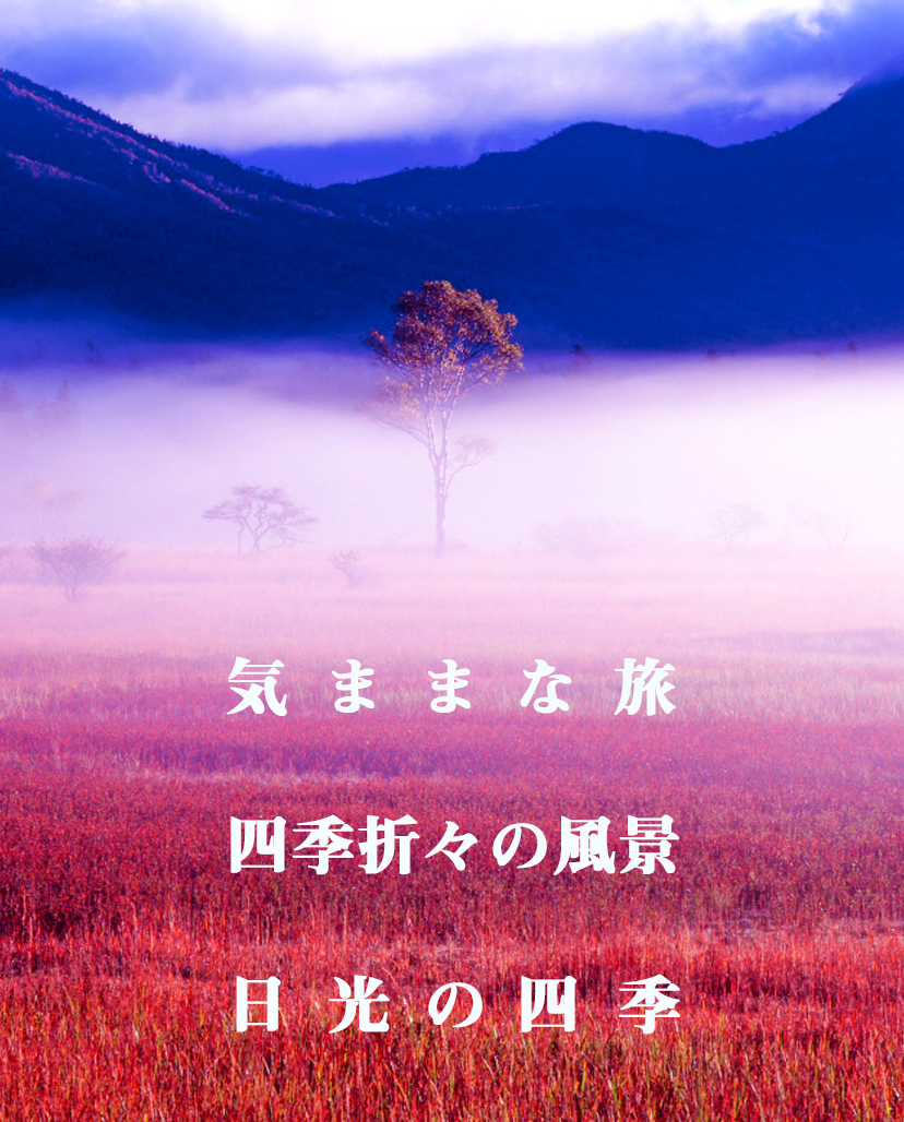 草紅葉の日光小田代ヶ原