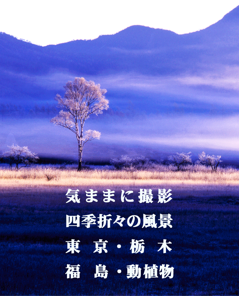 晩秋の日光小田代ヶ原 晩秋の日光小田代ヶ原
