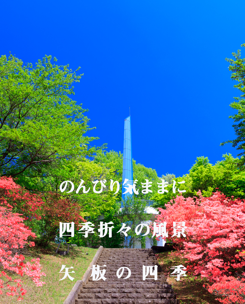 矢板市・長峰公園のツツジ